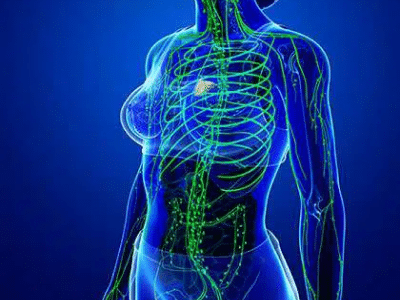 How a Good Web site Can Assist Your Model